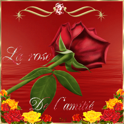Amour & Amitié...
